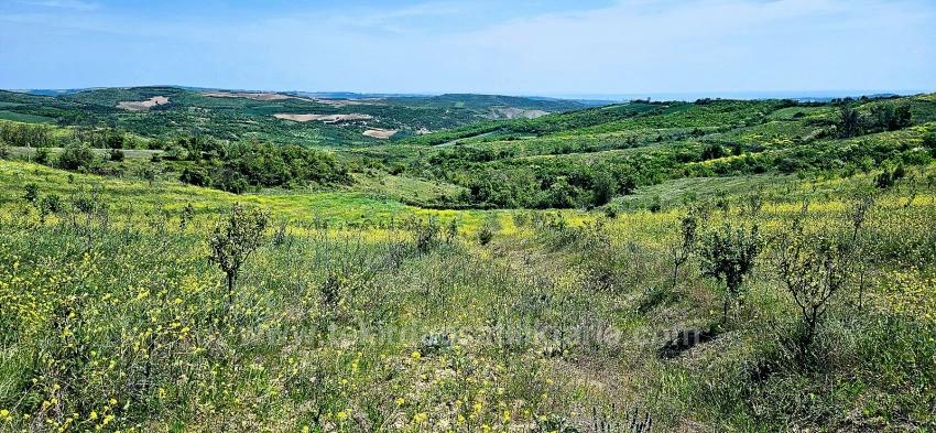 *Бартер+Наличные* Постройте Ферму С Государственной Поддержкой* Производите И Выращивайте* Обеспечьте Свое Будущее*
