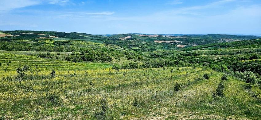 *Бартер+Наличные* Постройте Ферму С Государственной Поддержкой* Производите И Выращивайте* Обеспечьте Свое Будущее*