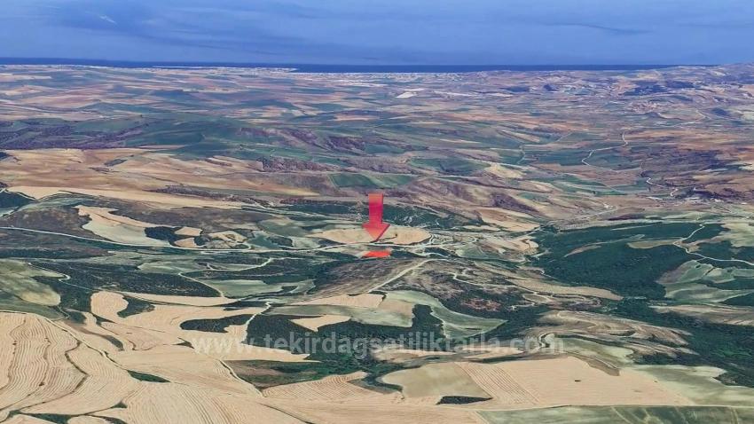 Отдельный Участок, Право Собственности Единоличное, Не Поделено, Очень Близко К Границе Населённого Пункта, Срочная Продажа, Поиск Возможностей