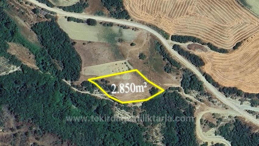 Отдельный Участок, Право Собственности Единоличное, Не Поделено, Очень Близко К Границе Населённого Пункта, Срочная Продажа, Поиск Возможностей