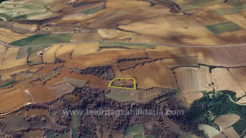 Инвестиционная Возможность: Гарантированно Высокая Прибыль В Краткосрочной Перспективе Для Тех, Кто Хочет Купить И Продать