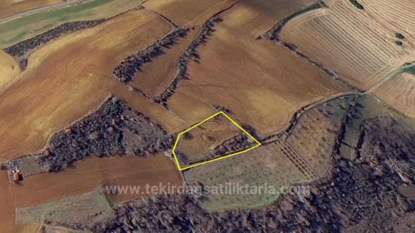 Инвестиционная Возможность: Гарантированно Высокая Прибыль В Краткосрочной Перспективе Для Тех, Кто Хочет Купить И Продать