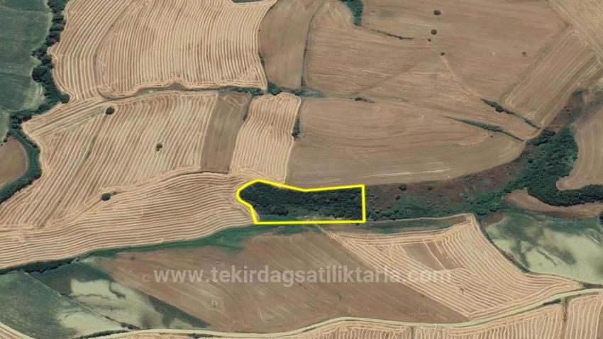 Не Упустите Возможность Инвестировать: 8100 М² Выгодной Земли В Районе Оруч Бейли Города Текирдаг.