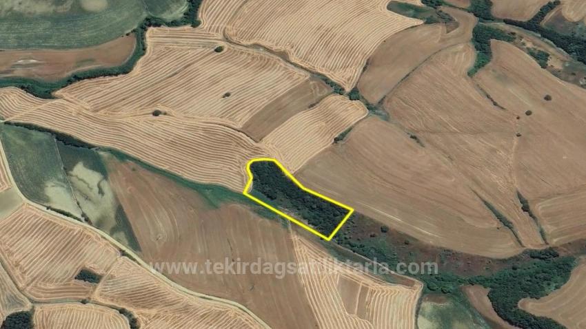 Не Упустите Возможность Инвестировать: 8100 М² Выгодной Земли В Районе Оруч Бейли Города Текирдаг.