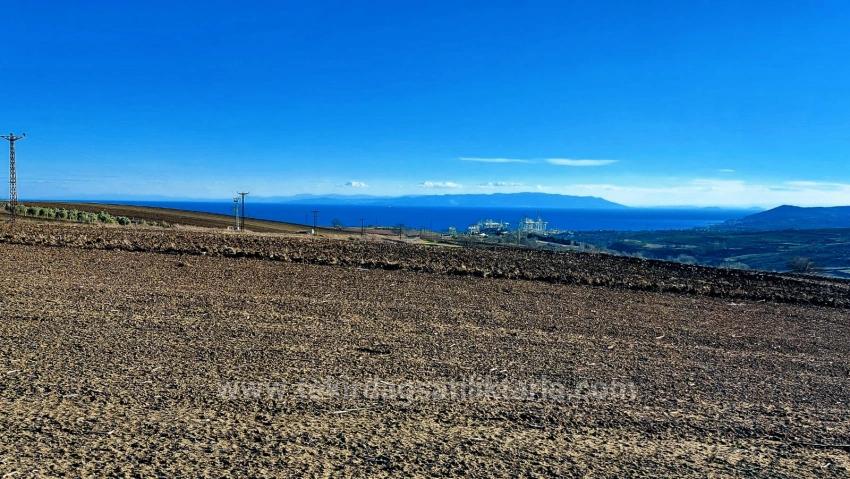 Оптимальный Участок Земли В Районе Фабрик С Высокой Краткосрочной Прибылью