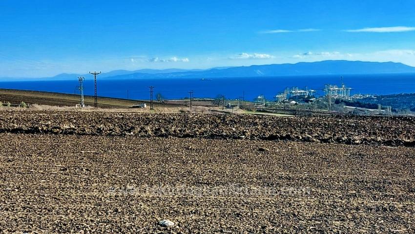 Оптимальный Участок Земли В Районе Фабрик С Высокой Краткосрочной Прибылью