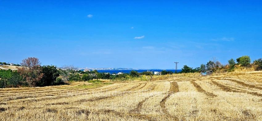 Угловой Участок Площадью 615 М2 По Выгодной Цене, Недалеко От Асиапорта