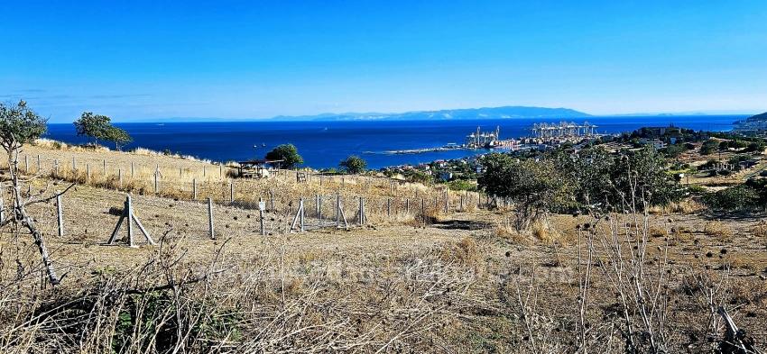 Гарантия Высокой Прибыли Для Тех, Кто Хочет Купить Или Продать. Срочная Продажа Из-За Необходимости В Наличных Деньгах.