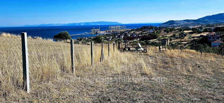 Гарантия Высокой Прибыли Для Тех, Кто Хочет Купить Или Продать. Срочная Продажа Из-За Необходимости В Наличных Деньгах.