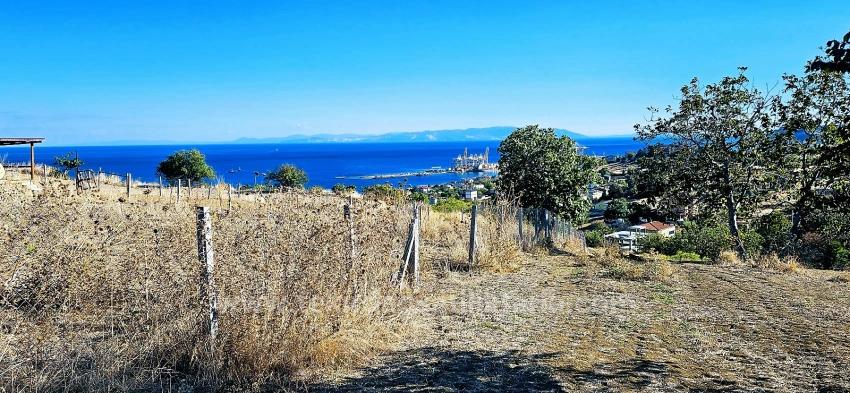 Гарантия Высокой Прибыли Для Тех, Кто Хочет Купить Или Продать. Срочная Продажа Из-За Необходимости В Наличных Деньгах.