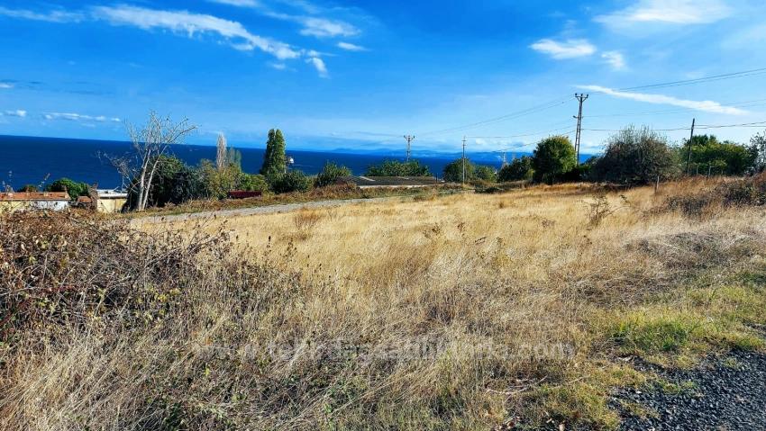 Участок Земли «Триплекс» — Отличная Возможность Для Тех, Кто Хочет Построить Отдельный Дом С Небольшим Капиталом