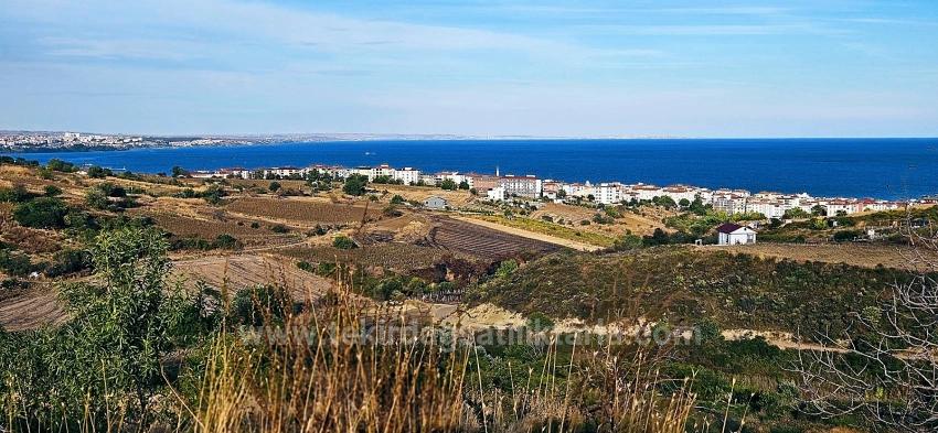 Выгодная Покупка Земельного Участка Площадью 1150 М2 С Панорамным Видом На Море В Районе Текирдаг Топагач