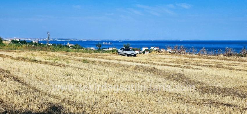 Для продажи Поле в Barbaros Süleymanpaşa Kumbağ - Под Жилье застройку - 8.500 m²
