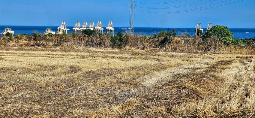 Жилой Участок Площадью 8500 М2 С Перспективой Высокой Прибыли, Недалеко От Порта Асяпорт