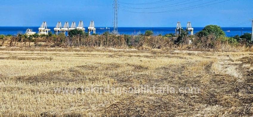 Для продажи Поле в Barbaros Süleymanpaşa Kumbağ - Под Жилье застройку - 8.500 m²