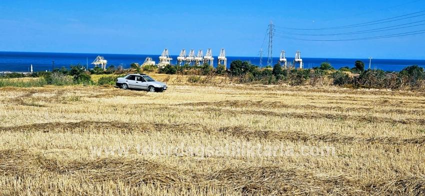 Для продажи Поле в Barbaros Süleymanpaşa Kumbağ - Под Жилье застройку - 8.500 m²