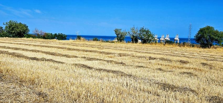 Жилой Участок Площадью 8500 М2 С Перспективой Высокой Прибыли, Недалеко От Порта Асяпорт