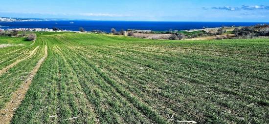 Участок С Панорамным Видом На Море И Природу, Подходящий Для Строительства 75 Вилл В Текирдаге Барбароста