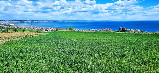 Возможность Построить 44 Квартиры 2+1 С Панорамным Видом На Море, Подходящие Для Кооперативного И Местного Строительства