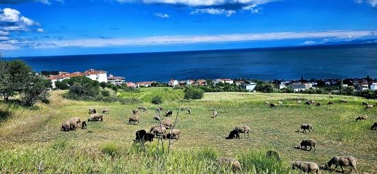 45 Апартаментов 2+1 С Уникальным Панорамным Видом На Море И Природу, Подходящие Для Совместных Проектов