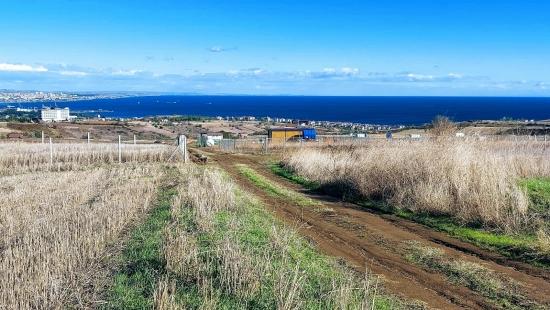 Подайте Заявку На Проект Роскошной Виллы С Почасовой Оплатой, Обеспечьте Высокий Доход, Полный Вид На Море И Природу