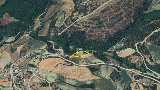 Отдельный Участок, Право Собственности Единоличное, Не Поделено, Очень Близко К Границе Населённого Пункта, Срочная Продажа, Поиск Возможностей