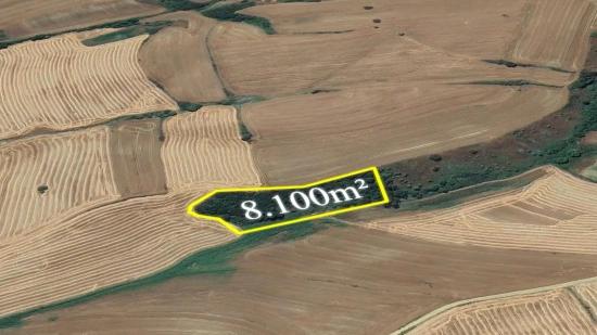 Не Упустите Возможность Инвестировать: 8100 М² Выгодной Земли В Районе Оруч Бейли Города Текирдаг.