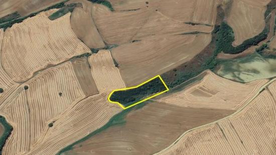Не Упустите Возможность Инвестировать: 8100 М² Выгодной Земли В Районе Оруч Бейли Города Текирдаг.