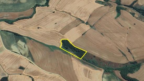 Не Упустите Возможность Инвестировать: 8100 М² Выгодной Земли В Районе Оруч Бейли Города Текирдаг.
