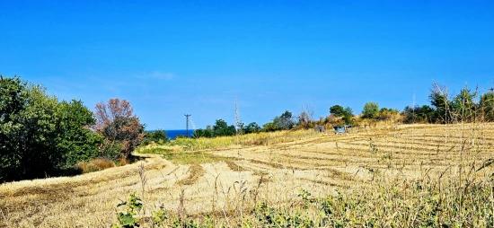 Угловой Участок Площадью 615 М2 По Выгодной Цене, Недалеко От Асиапорта