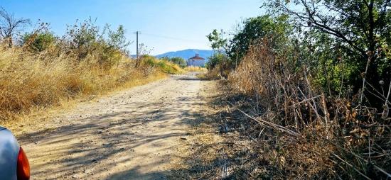 Угловой Участок Площадью 615 М2 По Выгодной Цене, Недалеко От Асиапорта