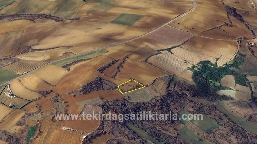 Для Продажи Земля в Çanakçı Süleymanpaşa - Под Поле застройку - 3.110 m²