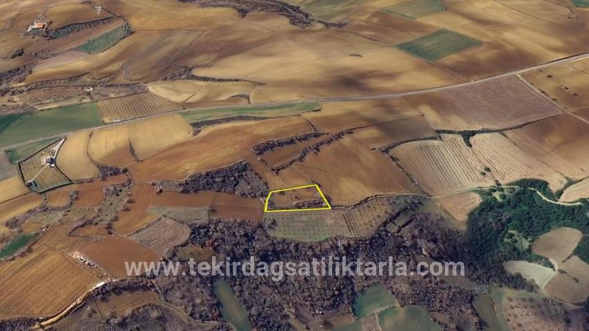 Для Продажи Земля в Çanakçı Süleymanpaşa - Под Поле застройку - 3.110 m²