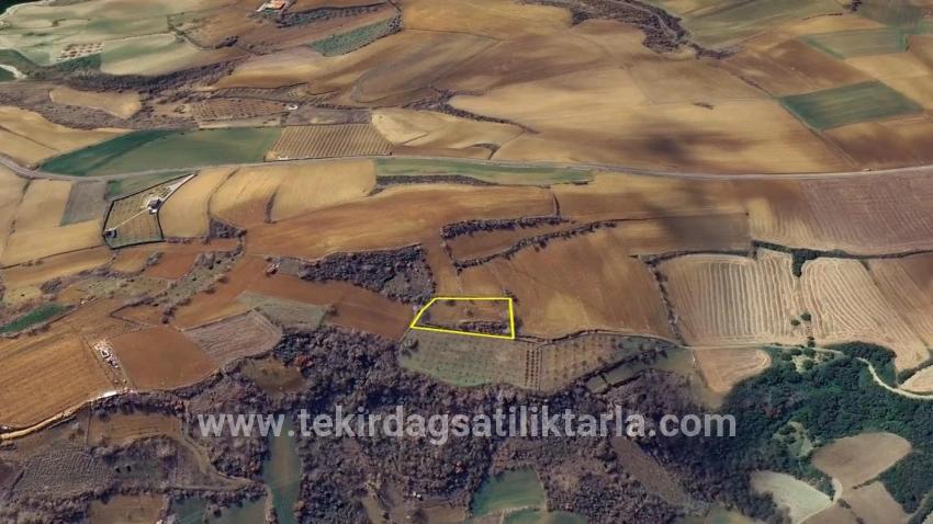 Для Продажи Земля в Çanakçı Süleymanpaşa - Под Поле застройку - 3.110 m²