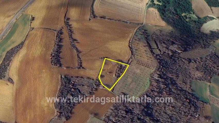 Для Продажи Земля в Çanakçı Süleymanpaşa - Под Поле застройку - 3.110 m²