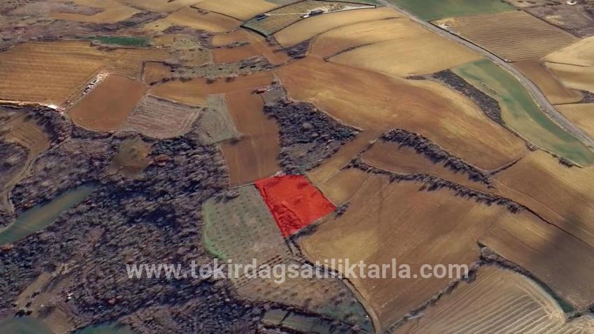 Для Продажи Земля в Çanakçı Süleymanpaşa - Под Поле застройку - 3.110 m²