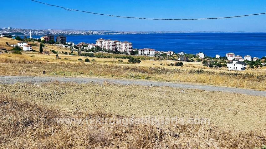 Для Продажи Сюжет в Barbaros Süleymanpaşa Kumbağ - Под Жилье застройку - 580 m²