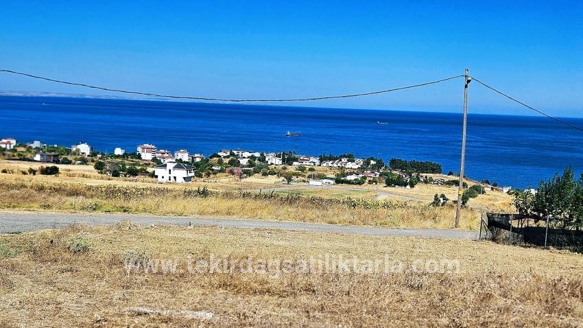 Для Продажи Сюжет в Barbaros Süleymanpaşa Kumbağ - Под Жилье застройку - 580 m²