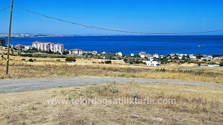 Для Продажи Сюжет в Barbaros Süleymanpaşa Kumbağ - Под Жилье застройку - 580 m²
