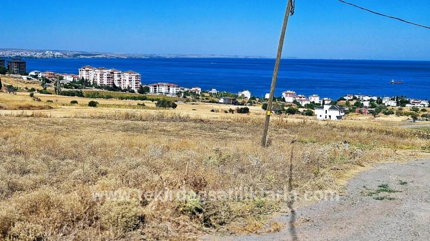 Для Продажи Сюжет в Barbaros Süleymanpaşa Kumbağ - Под Жилье застройку - 580 m²