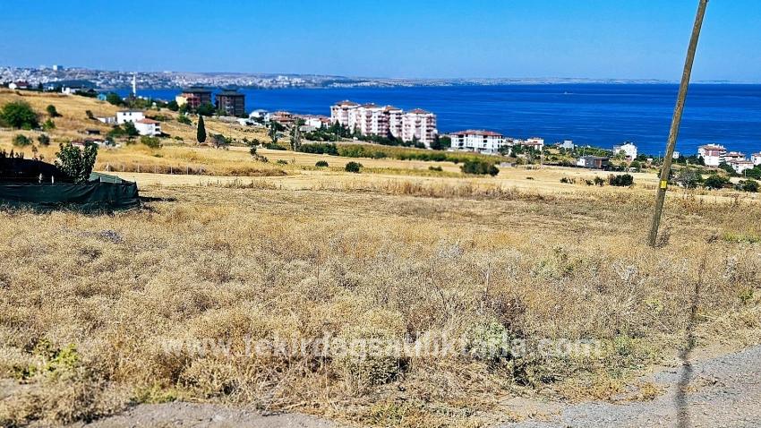 Для Продажи Сюжет в Barbaros Süleymanpaşa Kumbağ - Под Жилье застройку - 580 m²