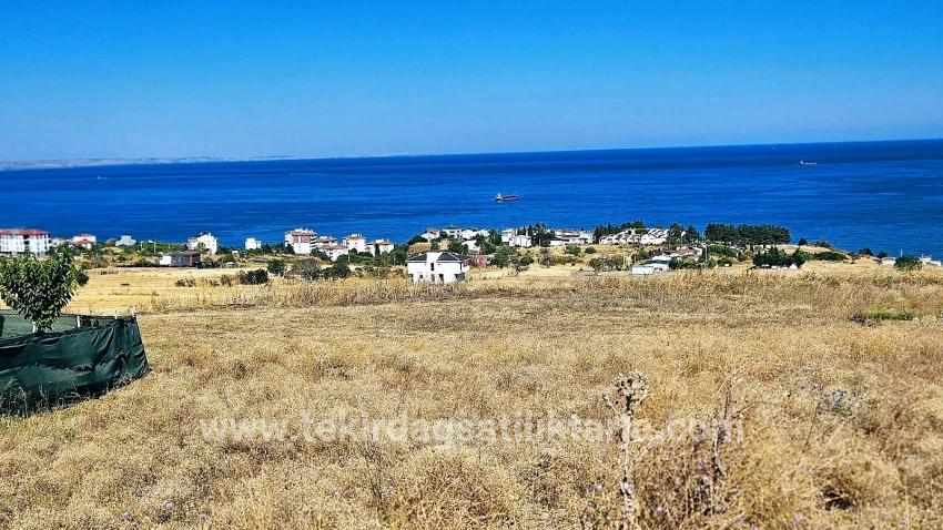 Для Продажи Сюжет в Barbaros Süleymanpaşa Kumbağ - Под Жилье застройку - 580 m²