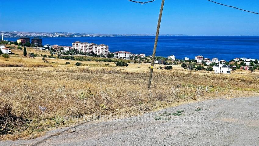 Для Продажи Сюжет в Barbaros Süleymanpaşa Kumbağ - Под Жилье застройку - 580 m²