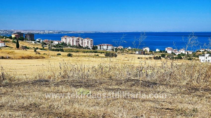 Для Продажи Сюжет в Barbaros Süleymanpaşa Kumbağ - Под Жилье застройку - 580 m²