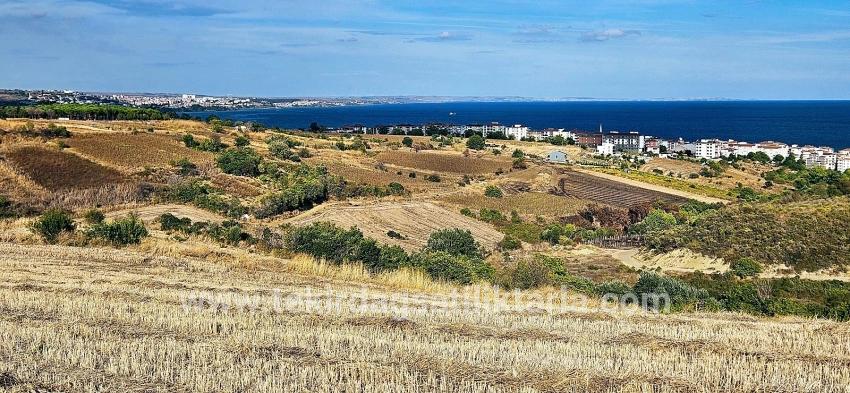 Для Продажи Сюжет в Topağaç Süleymanpaşa Altınova - Под Вилла застройку - 1.150 m²