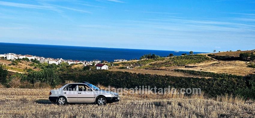 Для Продажи Сюжет в Topağaç Süleymanpaşa Altınova - Под Вилла застройку - 1.150 m²