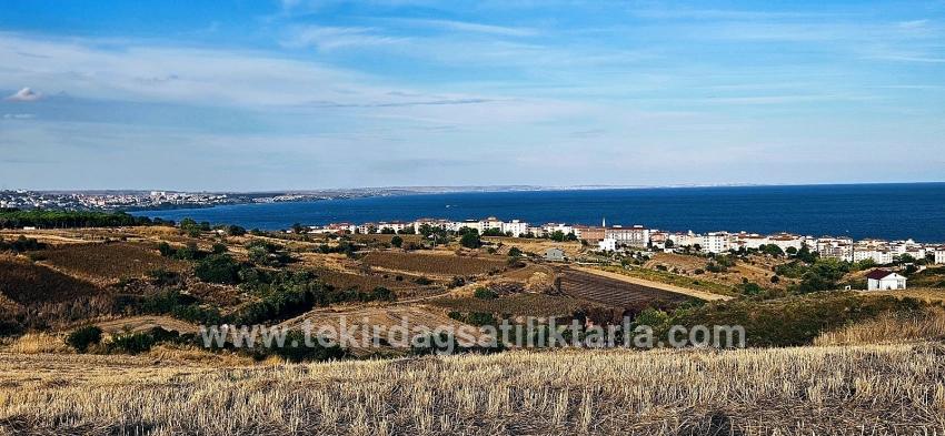 Для Продажи Сюжет в Topağaç Süleymanpaşa Altınova - Под Вилла застройку - 1.150 m²