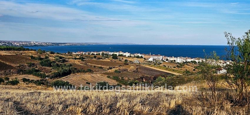 Для Продажи Сюжет в Topağaç Süleymanpaşa Altınova - Под Вилла застройку - 1.150 m²
