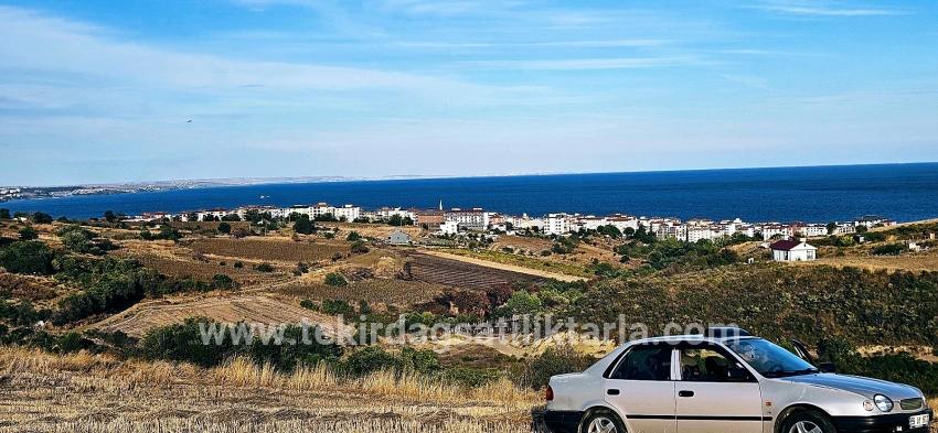 Для Продажи Сюжет в Topağaç Süleymanpaşa Altınova - Под Вилла застройку - 1.150 m²
