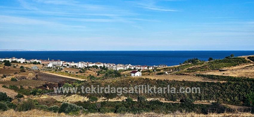 Для Продажи Сюжет в Topağaç Süleymanpaşa Altınova - Под Вилла застройку - 1.150 m²